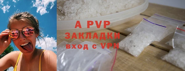 PSILOCYBIN Беломорск