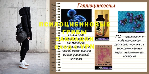 PSILOCYBIN Беломорск