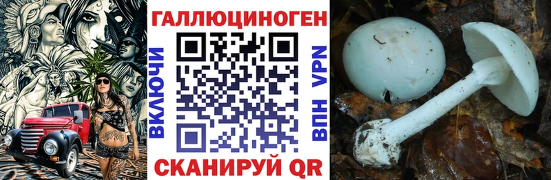 купить наркотик  mega tor  Псилоцибиновые грибы прущие грибы  Волоколамск 