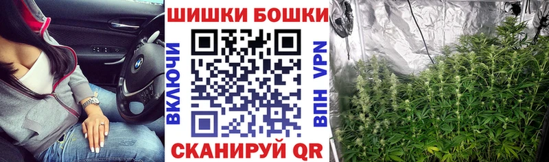 Шишки марихуана план  kraken ONION  Волоколамск 